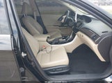 Honda Accord Ex-L V6 1HGCR3F83HA028514 fotografie