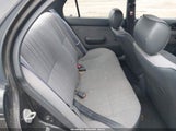 Miniaturka zdjęcia 8