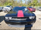 Dodge Challenger Rallye Redline 2C3CDYAG9DH520098 снимка