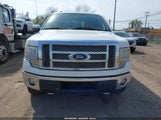 Ford F-150 Fx4/Harley-Davidson/King Ranch/Lariat/Platinum/Xl/Xlt 1FTFW1EV3AFD47016 photo