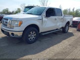 Ford F-150 Fx4/Harley-Davidson/King Ranch/Lariat/Platinum/Xl/Xlt 1FTFW1EV3AFD47016 photo