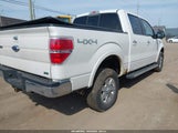 Ford F-150 Fx4/Harley-Davidson/King Ranch/Lariat/Platinum/Xl/Xlt 1FTFW1EV3AFD47016 photo