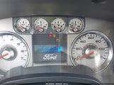 Ford F-150 Fx4/Harley-Davidson/King Ranch/Lariat/Platinum/Xl/Xlt 1FTFW1EV3AFD47016 fotografie