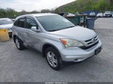 Honda Cr-V Ex-L 5J6RE4H78AL072382 photo