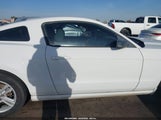 Ford Mustang V6 1ZVBP8AM3E5250408 снимка