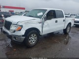 Ford F-150 Xlt 1FTFW1EF1BKD78766 снимка