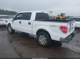 Ford F-150 Xlt 1FTFW1EF1BKD78766 снимка