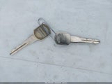 Miniaturka zdjęcia 11