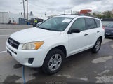 Toyota Rav4 JTMZF33V39D012437 снимка