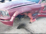Ford Mustang Gt Deluxe/Gt Premium 1ZVHT82HX55185497 photo
