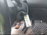 Miniaturka zdjęcia 11