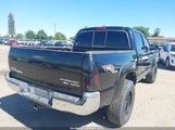 Toyota Tacoma Prerunner V6 3TMJU62N69M071590 photo