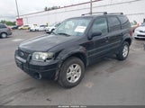 Ford Escape Limited 1FMCU94176KB35719 снимка