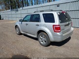 Ford Escape Xlt 1FMCU93G29KB94459 снимка