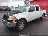 Nissan Frontier Se 1N6AD09W28C443466 снимка