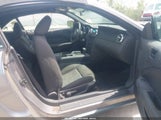 Miniaturka zdjęcia 5