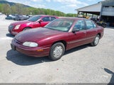 Chevrolet Lumina Taxi 2G1WL52MXV1169266 fotografie