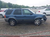 Ford Escape Xlt 1FMYU93105KA95859 снимка