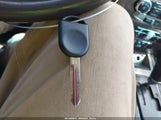 Miniaturka zdjęcia 11