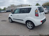 Miniaturka zdjęcia 3