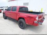Toyota Tacoma Prerunner V6 3TMJU62N09M072976 photo
