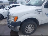 Ford F-150 Xl 1FTMF1CM0EFA48946 снимка