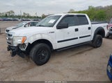 Ford F-150 Xlt 1FTFW1EF6DKE94032 снимка