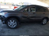 Honda Cr-V Ex-L 5J6RE38769L007195 photo