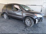 Honda Cr-V Ex-L 5J6RE38769L007195 photo