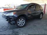 Honda Cr-V Ex-L 5J6RE38769L007195 photo