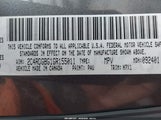 Dodge Grand Caravan American Value Pkg 2C4RDGBG1GR155011 fotografie