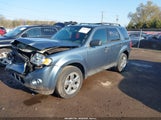 Ford Escape Xlt 1FMCU0DG4AKA52757 снимка
