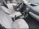 Miniaturka zdjęcia 5