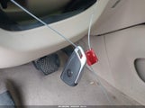 Miniaturka zdjęcia 11