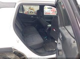 Miniaturka zdjęcia 8