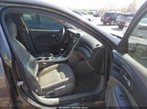 Chevrolet Malibu 1Fl 1G11A5SA5DF310824 снимка