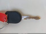 Miniaturka zdjęcia 11