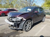 Nissan Murano Le JN8AZ1MW4DW305474 снимка