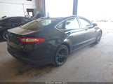Miniaturka zdjęcia 4