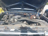 Ford Bronco U100 1FMEU15N2KLA65644 снимка