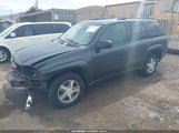 Chevrolet Trailblazer Ls 1GNDT13S762289152 снимка