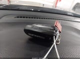 Miniaturka zdjęcia 11