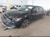 Nissan Maxima 3.5 Platinum/3.5 S/3.5 Sl/3.5 Sr/3.5 Sv 1N4AA6AP3GC416574 photo