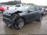 Toyota Rav4 Xle 2T3W1RFV5RW339778 fotografie
