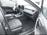 Toyota Rav4 Xle 2T3W1RFV5RW339778 photo
