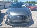 Hyundai Tucson Hybrid Blue KM8JBCD1XRU224834 photo
