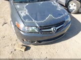 Acura Tsx JH4CL96828C021334 снимка