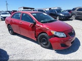 Toyota Corolla Le 2T1BU4EE2AC533628 fotografie