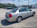 Chevrolet Malibu Ls 1G1ZS58F67F264945 снимка