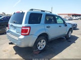 Ford Escape Hybrid 1FMCU59H58KB03854 снимка
